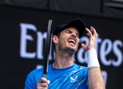 开云体育APP下载-澳大利亚网球队轻取欧洲网球队，穆雷完成帽子戏法的简单介绍