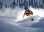 开云官方app入口-骑士布克，浙江队无法破解的终极难题