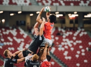 开云在线直播-宿命对决！凯尔特人强势晋级，福克斯关键进球定乾坤，北京队饮恨赛场