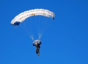 开云体育APP下载-广东队生死战取胜灰熊，哈利伯顿连续得分拉开差距