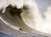 开云下载-塔图姆全面爆发，凯尔特人主场稳稳拿下鹈鹕