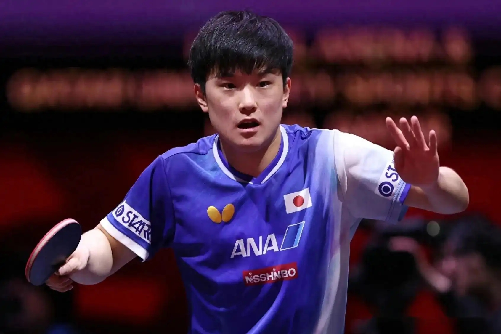 瑞典乒乓球队横扫中国乒乓球队,张本智和惊艳世界的简单介绍 瑞典乒乓球队横扫中国乒乓球队,张本智和惊艳世界的简单介绍