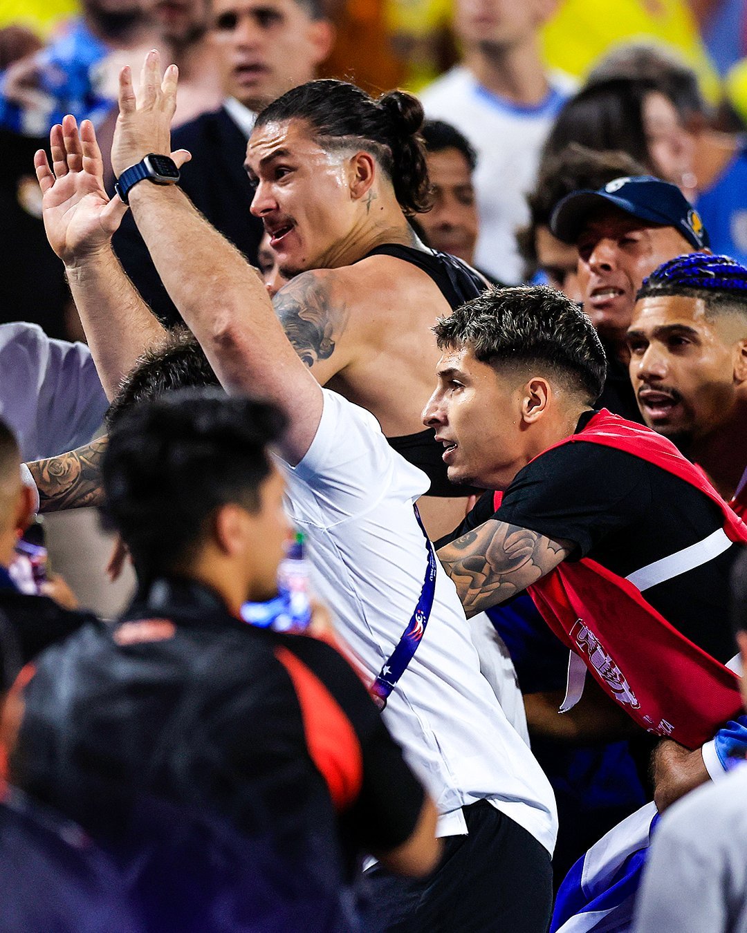 包含美洲冠军联赛半决赛，哥伦比亚厄瓜多尔十字军队取胜的词条