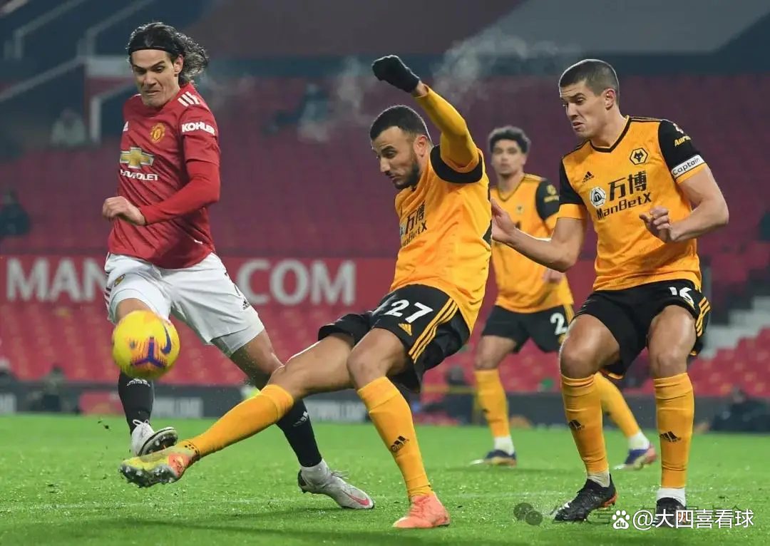 关于布莱顿主场不敌狼队，遭遇连败的信息