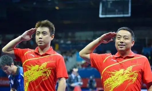 德国乒乓球队逆转中国乒乓球队，王皓惊艳世界的简单介绍