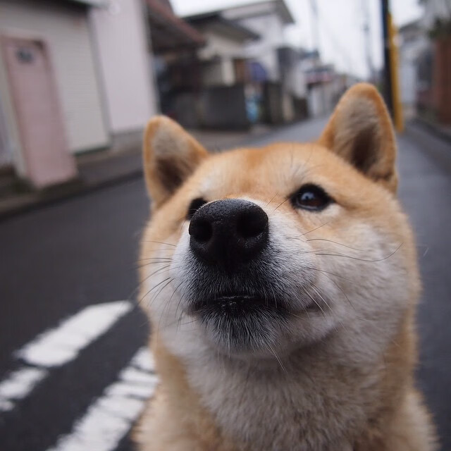 老鹰终结浙江队,杜兰特完成自我救赎