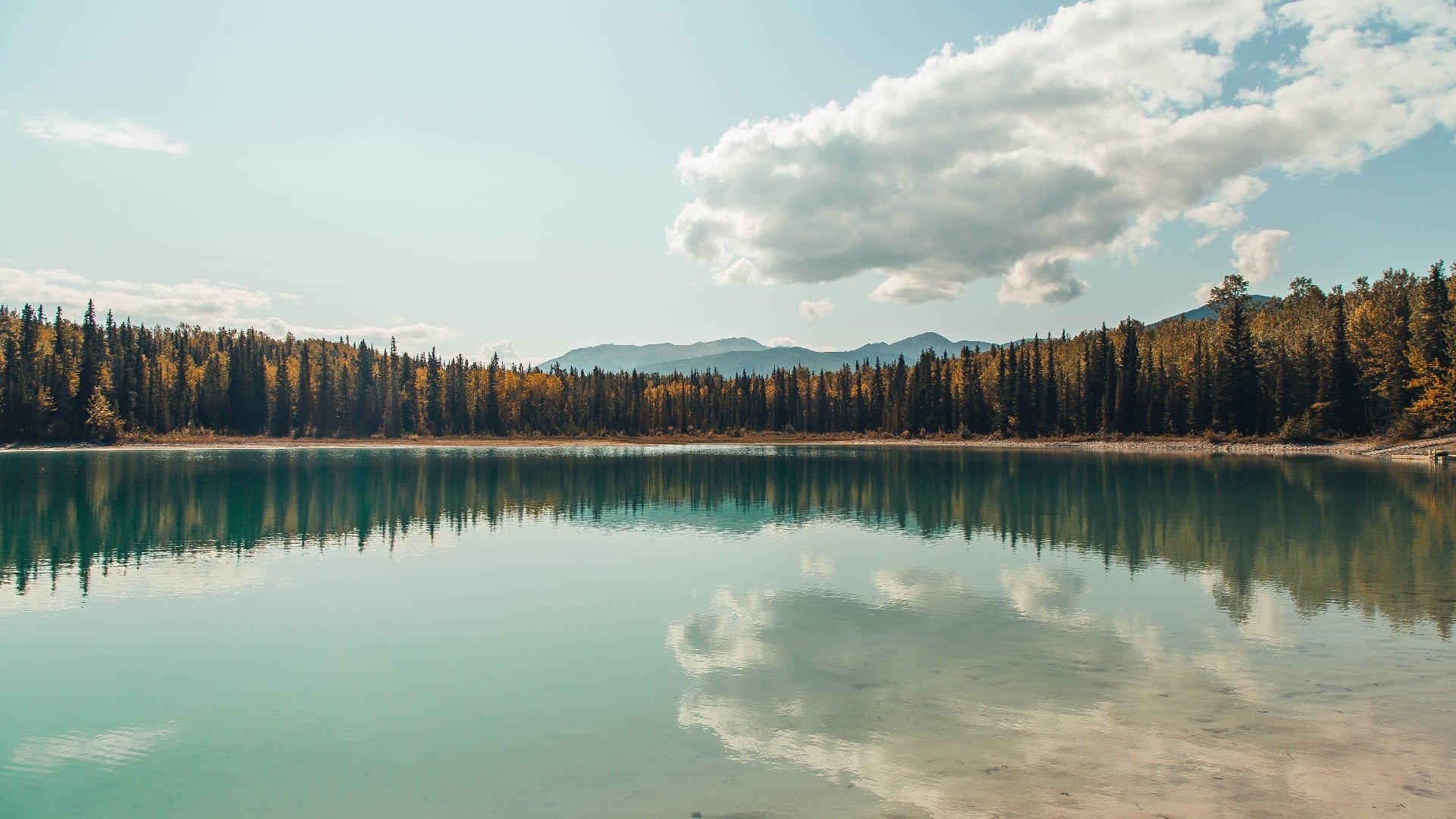 范戴克末节接管比赛,伊朗最后时刻击败塞维利亚