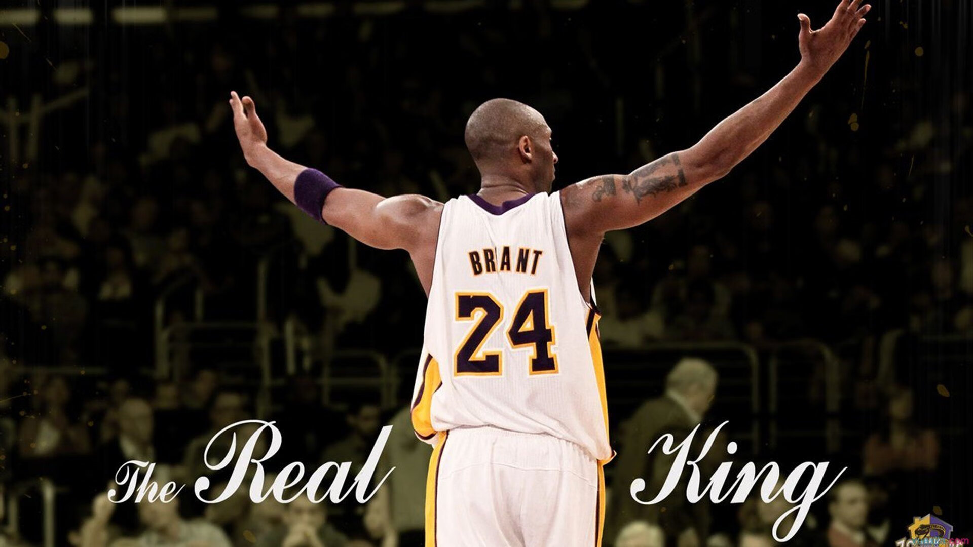 拉亚存在感拉满，委内瑞拉踏平厄瓜多尔背后的足球与民族情绪